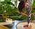 obraz_11 thumb
