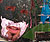 susak_02 thumb