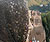 susak_05 thumb