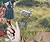 susak_06 thumb