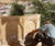 syrien 08 thumb